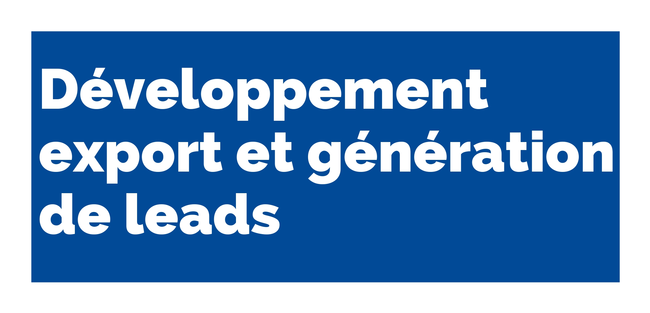 Développement export et génération de leads